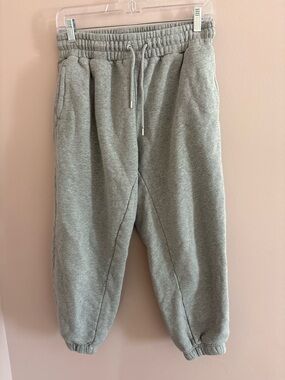 Women’s Quince Medium M Grey Fleece Jogger Sweatpants